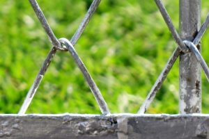Ein Drahtzaun begrenzt den Garten