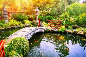 japanischer garten