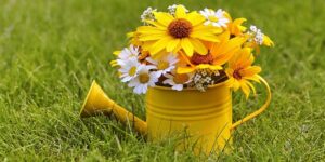 Blumen-Bouquet in gelber Gießkanne im Garten