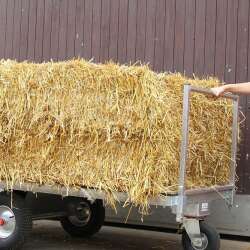 Growi Ballenwagen