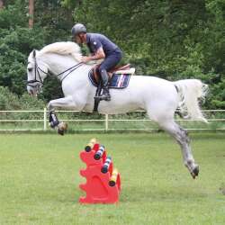 Growi Cavaletti & Co.