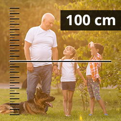 Doppelstabmattenzaun Höhe 103cm