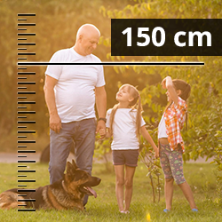 Doppelstabmattenzaun Höhe 143cm