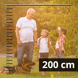 Doppelstabmattenzaun Höhe 203cm