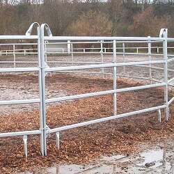 Weidepanel 160cm Höhe SPEZIAL mit 4 Quertraversen