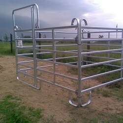 Weidepanel mit Tür 160cm Höhe mit 6 Quertraversen