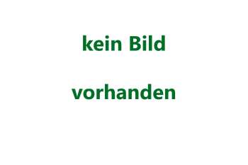 Kompletter Giebel ganze Höhe 2tlg. Breite 4m