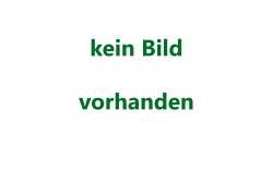 Kompletter Giebel ganze H&ouml;he 2tlg. Breite 4m
