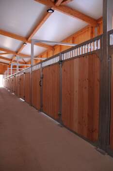 Frontwand Cintaro mit Aufsatzgitter, Höhe: 150 cm, Breite: bis 250 cm