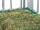 Futtersparnetz 2,4x2,4, Maschenweite 60x60mm