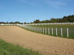 Koppelsystem Ranch 2/3, Zaunprofil 140 x 38 mm, 234 cm lang
