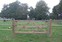 Holz-Weidetor Wellington, mit doppeltem Kreuz, 120 H x...