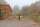 Holz Weidetor Sussex als Doppeltor , 120 cm H x 400 cm B
