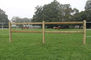 Zaunsystem Kent, Querriegel, 120 x 44 mm x 2500 mm lang