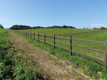 Systemprofil Karja, 42 x 120 x 2500 mm lang, braun