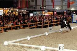 Dressurviereck Kunststoff 20 x 60 m, bestehend aus: