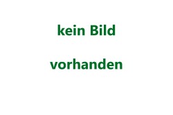 qm Bongossiholz mit L&uuml;ftungsschlitzen, 38 x 120 mm, 4 L&auml;ngsseiten gefast N+F