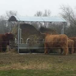 Heuraufe mit niedrigen Palisaden 2m x 3m f&uuml;r Longhorns