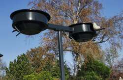 EINFACHE EINHÄNGEVARIANTE MIT VOGELRASTPLATZ - GRÜN RAL 6005