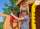 FUNGOO Paradise Move / Nadelholz teak impr.