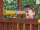 FUNGOO Paradise Move / Nadelholz teak impr.