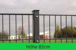 Komplettpaket Doppelstabmatte Profiversion plus 8/6/8 - 83cm