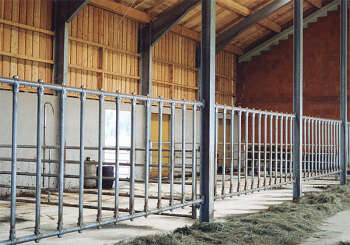 Gitterstab d = 48,3 mm, Länge 1,80 m, mit 2 verstärkten T-Schellen (341213)