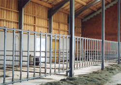 Gitterstab d = 48,3 mm, Länge 1,80 m, mit 2...