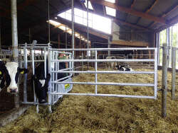 Fressgitter für Tierbehandlung mit Einschub R5