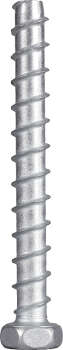 Bolzenanker/Betonschraube M8 x 80 mm Edelstahl
