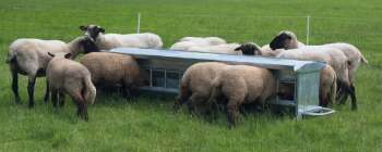 Lämmer-Futterautomat, L= 1,25 m, fahrbar Inhalt ca. 120 ltr., mit Dach, verzinkt