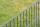 Doppelstabmatte - 2m VZ + Anthrazit RAL7016 6/5/6 Höhe 143cm Breite 201cm