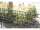 Schmuckmatte Barcelona Anthrazitgrau RAL7016 830mm