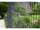 Stahlgitterzaun 6/5/6 "MORITZ" Anthrazit  RAL 7016 143cm